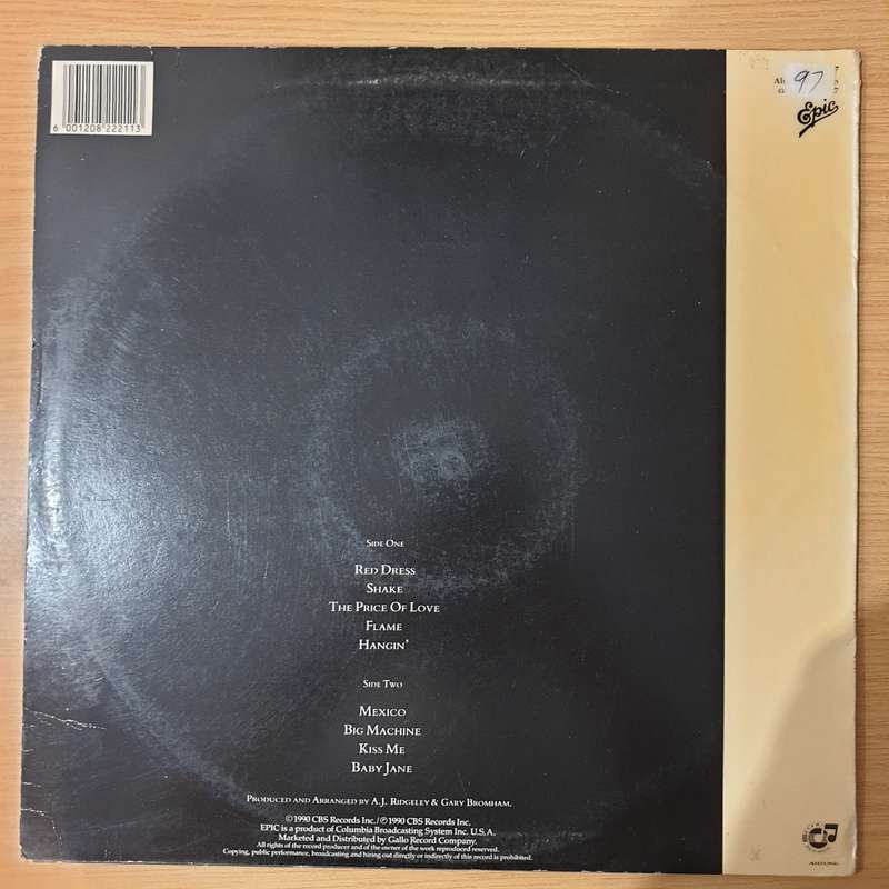 Andrew Ridgeley  Son Of Albert - Vinyl LP Record - Opened  - Very-Good+ Quality (VG+)