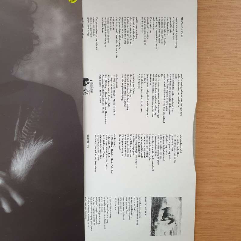 The Waterboys  This Is The Sea (with Lyrics inner) - Vinyl LP Record - Very-Good+ Quality (VG+...
