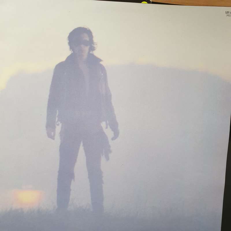 The Sisters Of Mercy  Floodland (Import)  (with lyrics sheet) - Vinyl LP Record - Very-Good+ Q...