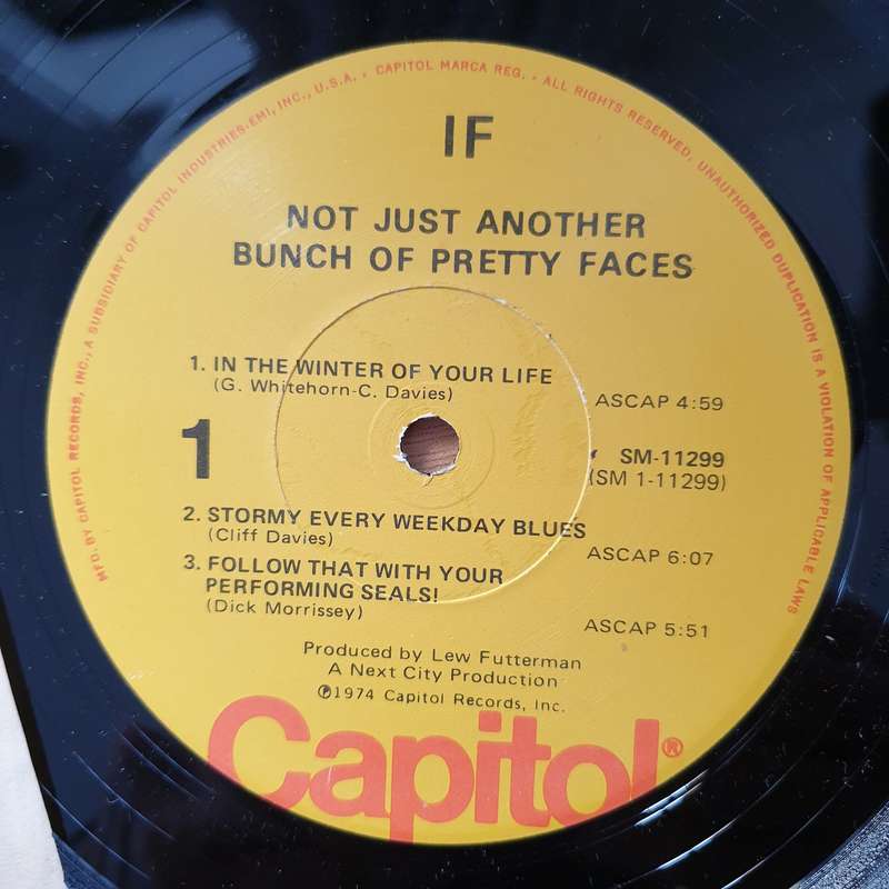 IF  Not Just Another Bunch Of Pretty Faces - Vinyl LP Record - Very-Good+ (VG+)