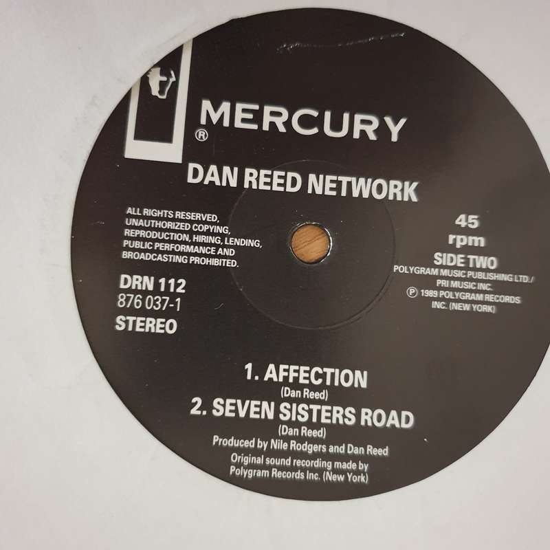 Dan Reed Network  Tiger In A Dress - Vinyl LP Record - Very-Good+ Quality (VG+) (verygoodplus)