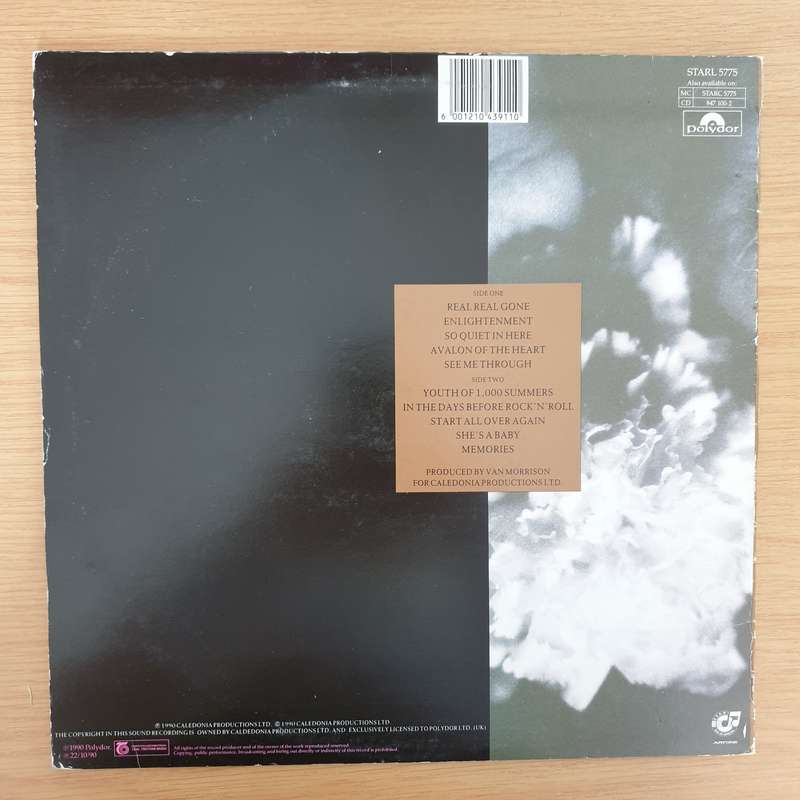 Van Morrison  Enlightenment   Vinyl LP Record - Very-Good+ Quality (VG+)
