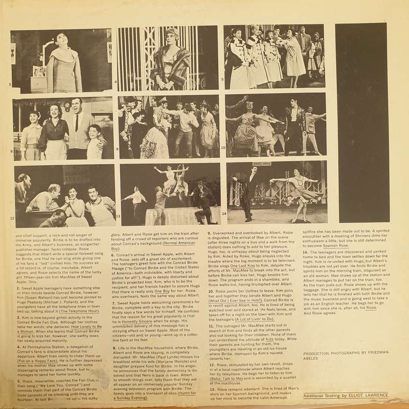 Bye Bye Birdie Original Broadway Cast With Chita Rivera, Dick Van Dyke - Vinyl LP Record - Very-G...