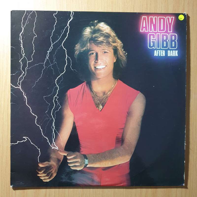 Andy Gibb - After Dark  Vinyl LP Record - Very-Good+ Quality (VG+) (verygoodplus)