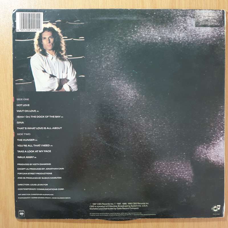 Michael Bolton  The Hunger - Vinyl LP Record - Very-Good+ Quality (VG+) (verygoodplus)