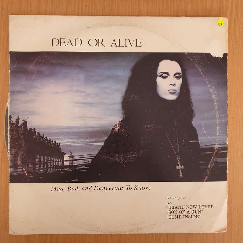 Dead Or Alive  Mad, Bad And Dangerous To Know  Vinyl LP Record - Very-Good- Quality (VG-) (...
