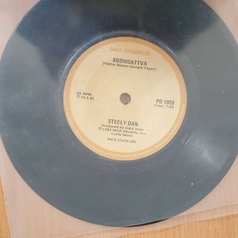 Steely Dan  Hey Nineteen - 7" Vinyl Record  (VG+) (DLB)