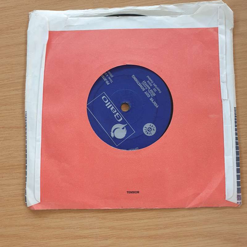 Peter Maffay  You / You've Got Something - Vinyl 7" Record  (VG+)
