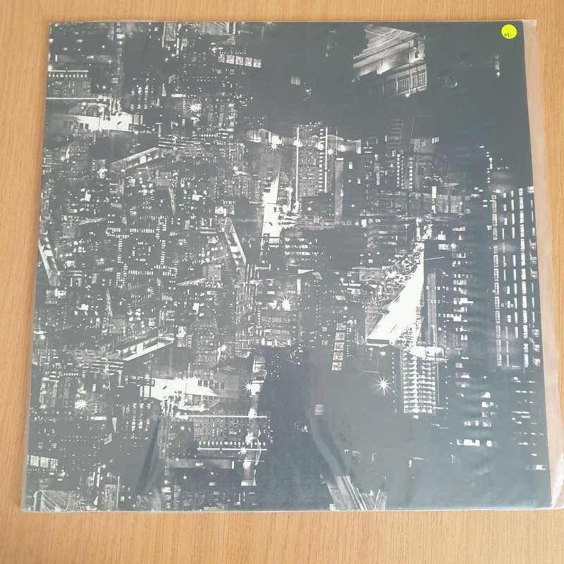 Kyle Shepherd  After the Night the Day Will Surely Come - Vinyl LP Record - Very-Good+ Quality...