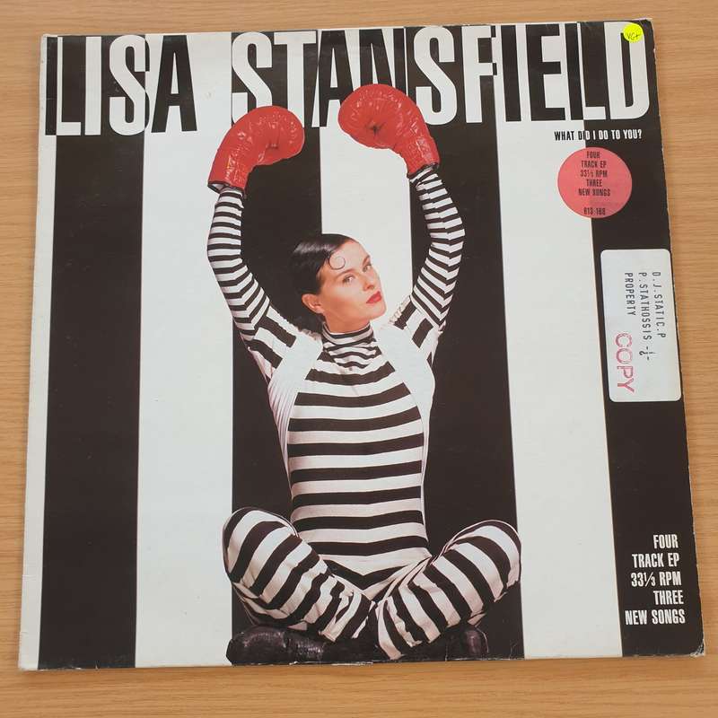 Lisa Stansfield  What Did I Do To You? - Vinyl LP Record (VG+)