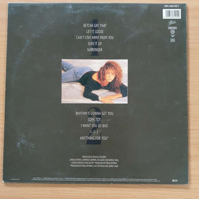 Gloria Estefan And Miami Sound Machine  Anything For You - Vinyl LP Record (VG+)