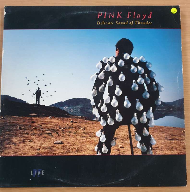 Pink Floyd  Delicate Sound Of Thunder - Live -  Double  Vinyl LP Record  (VG+)