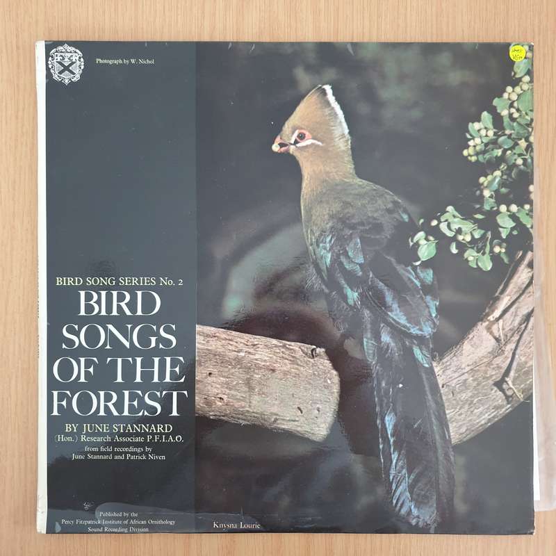Bird Songs of the Forest - June Stannard - Vinyl LP Record (VG+)