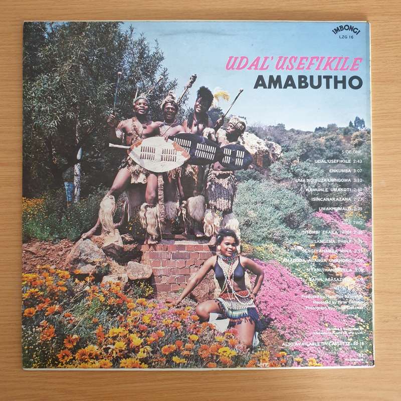 Amabutho  Udal'Usefikile - Vinyl LP Record (VG+)