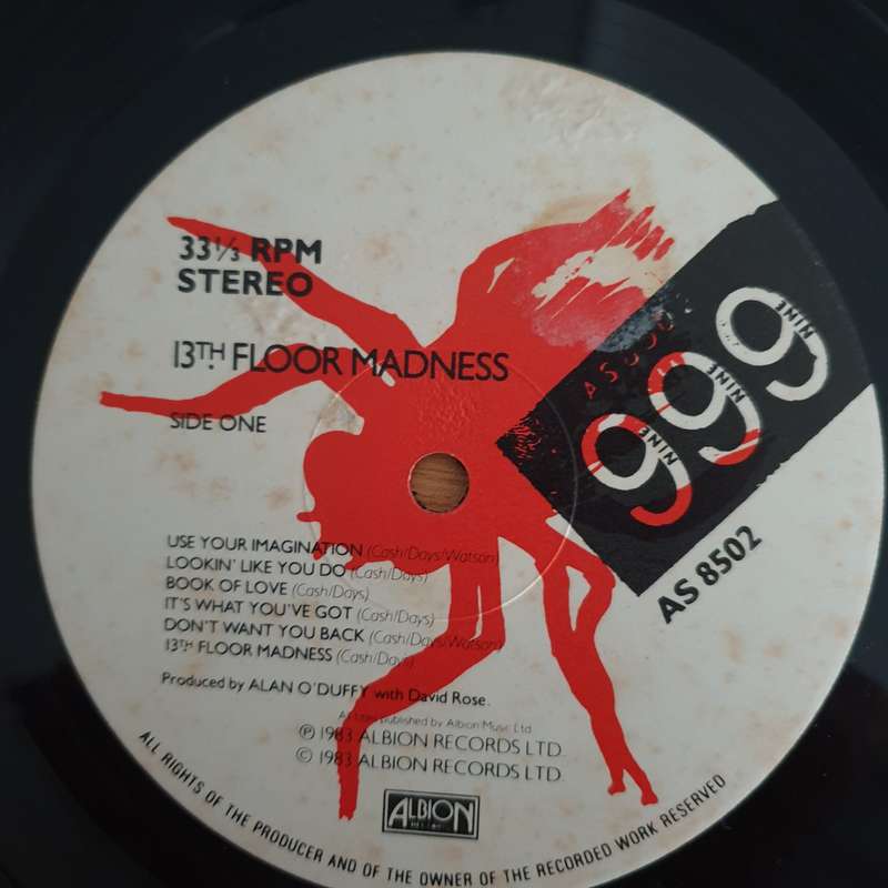 999  13th Floor Madness - Vinyl LP Record (VG+)