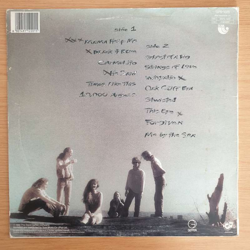 Edie Brickell & New Bohemians  Ghost Of A Dog - Vinyl LP Record (VG+)