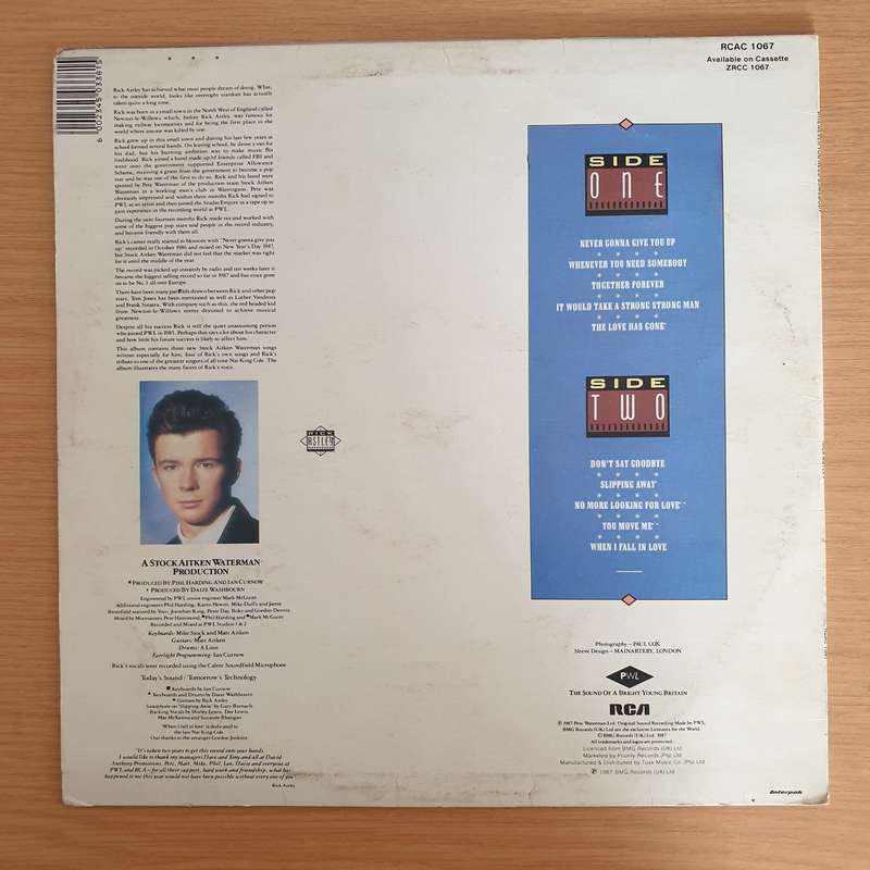 Rick Astley  Whenever You Need Somebody  Vinyl LP Record  (VG-)