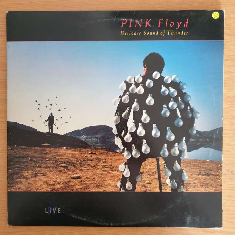 Pink Floyd  Delicate Sound Of Thunder - Live -  Double Vinyl LP Record  (VG-)