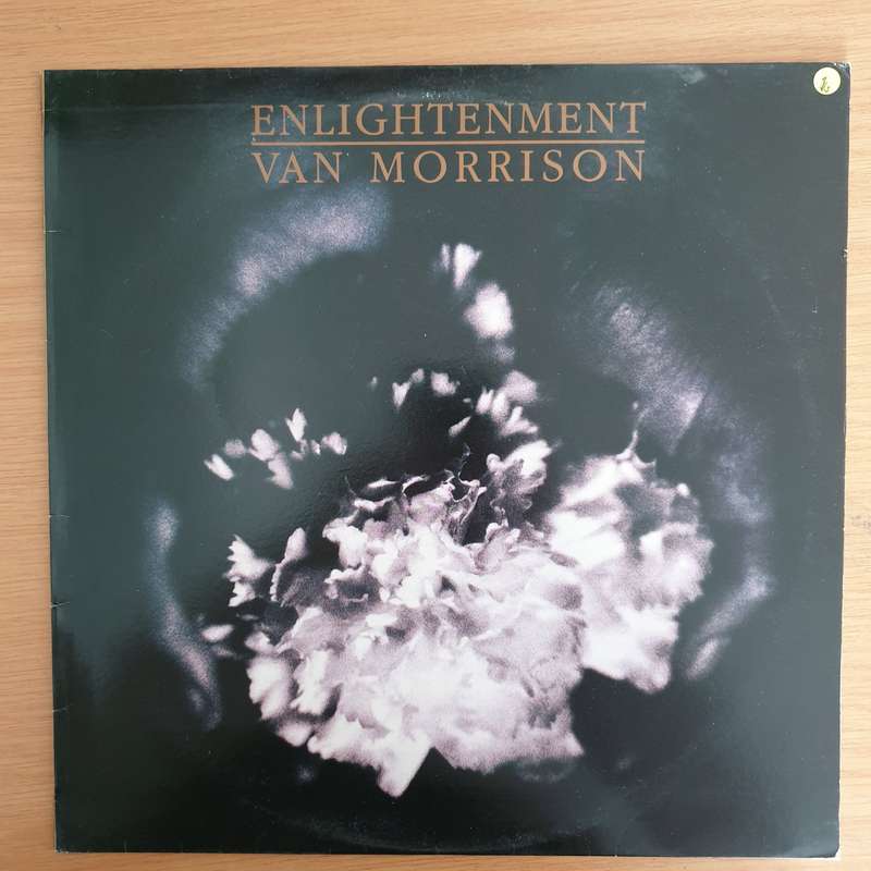 Van Morrison  Enlightenment - Vinyl LP Record (VG)
