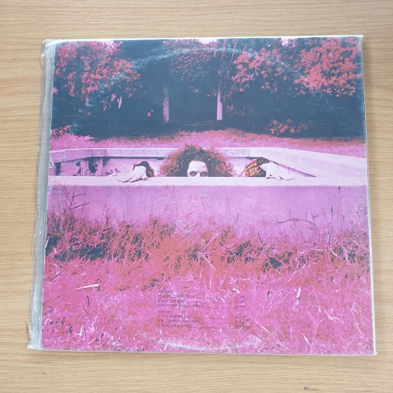 Frank Zappa  Hot Rats  Vinyl LP Record (VG+)