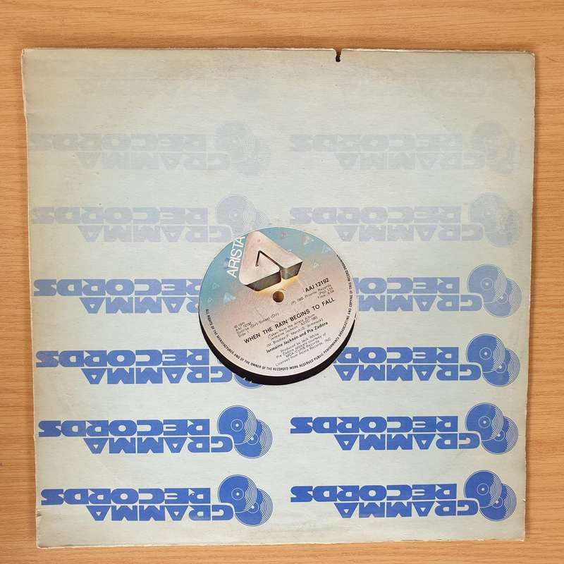 Jermaine Jackson & Pia Zadora  When The Rain Begins To Fall - Vinyl LP Record  (VG+)