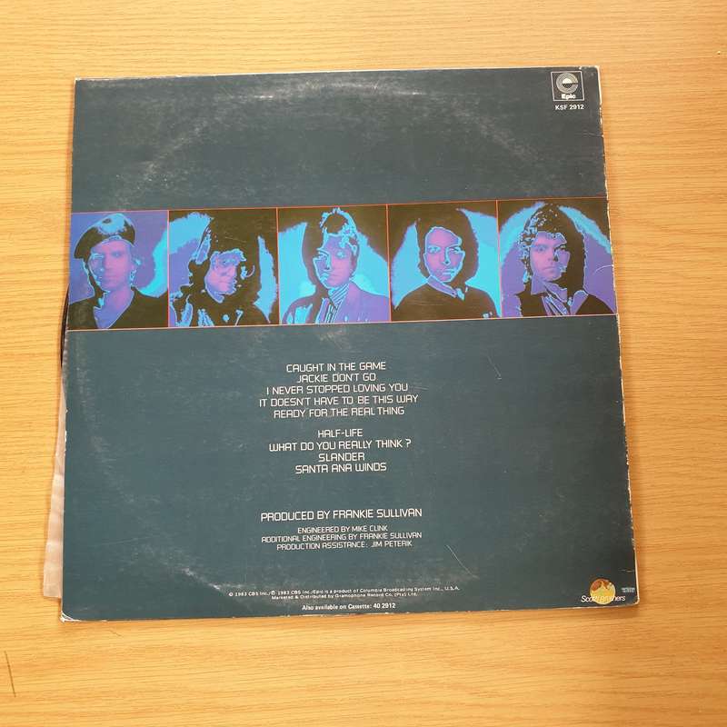 Survivor  Caught In The Game -  Vinyl LP Record (VG+)