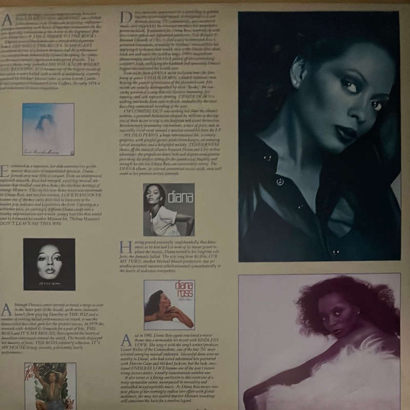 Diana Ross - All the Greatest Hits - Double Vinyl LP Record - Very-Good+ Quality (VG+)