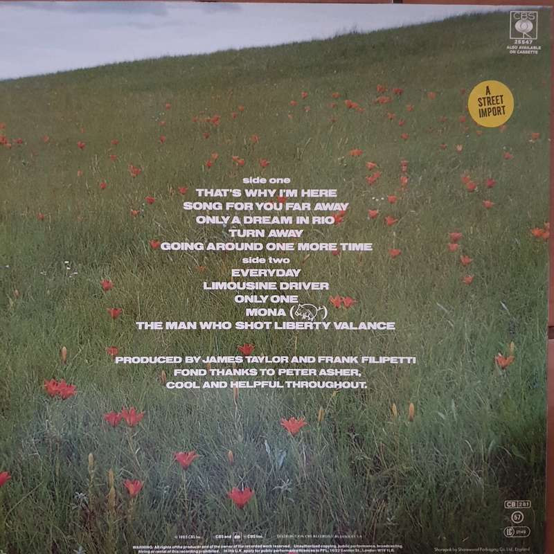 James Taylor  That's Why I'm Here -  Vinyl LP Record - Very-Good+ Quality (VG+)