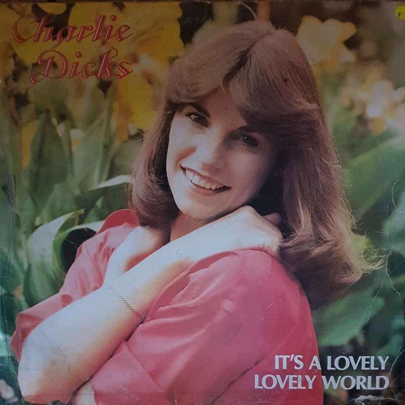 Charlie Dicks - It's a Lovely World - Vinyl LP Record - Opened  - Fair Quality (F)