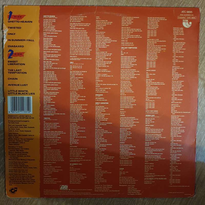 The Family Stand  Chain -  Vinyl LP Record - Opened  - Very-Good+ Quality (VG+)