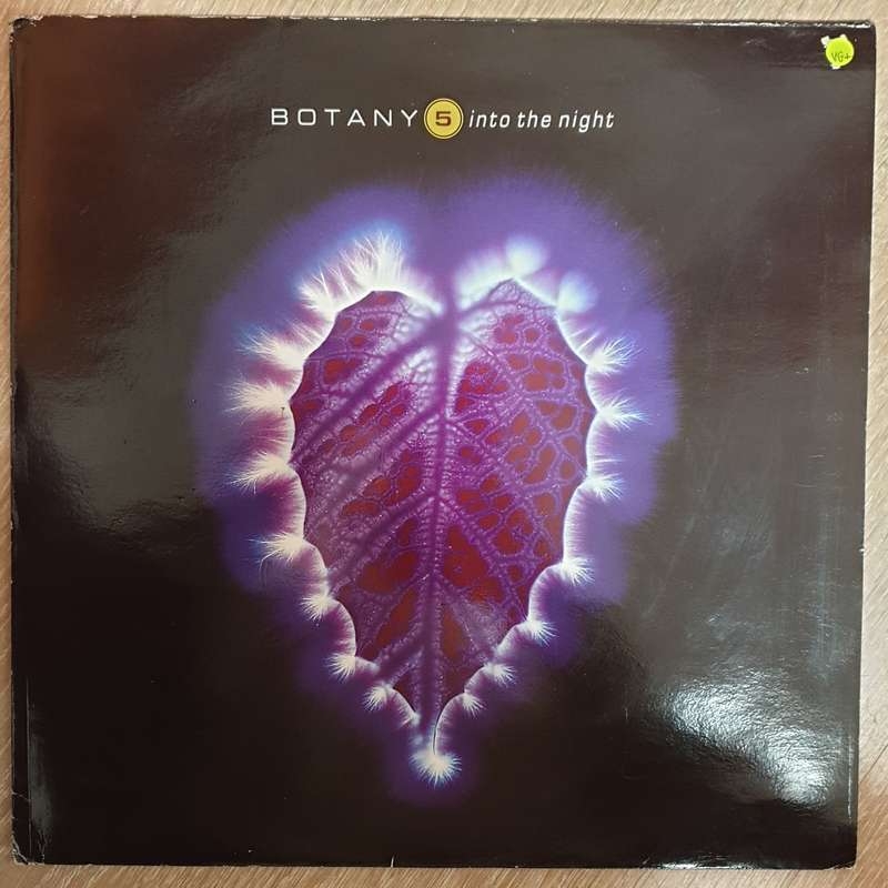 Botany 5  Into The Night - Vinyl LP  Record - Opened  - Very-Good+ Quality (VG+)