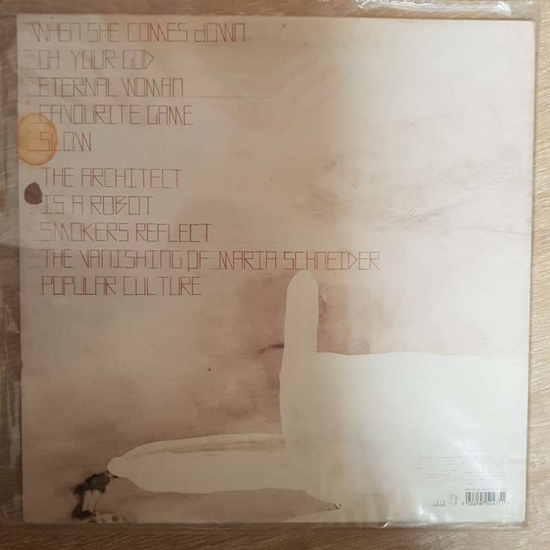 dEUS  Vantage Point - Vinyl Record - Very-Good+ Quality (VG+)