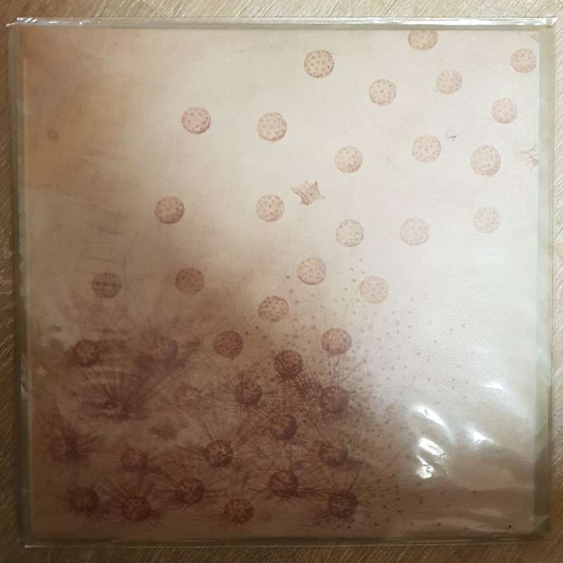 Family  Anyway - Vinyl LP Record - Opened  - Very-Good+ Quality (VG+)