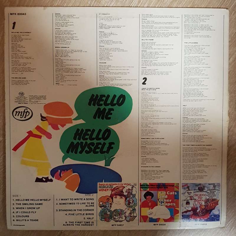 Wendy Fine - Hello Me Hello Myself - Vinyl LP Record - Opened  - Very-Good+ Quality (VG+)