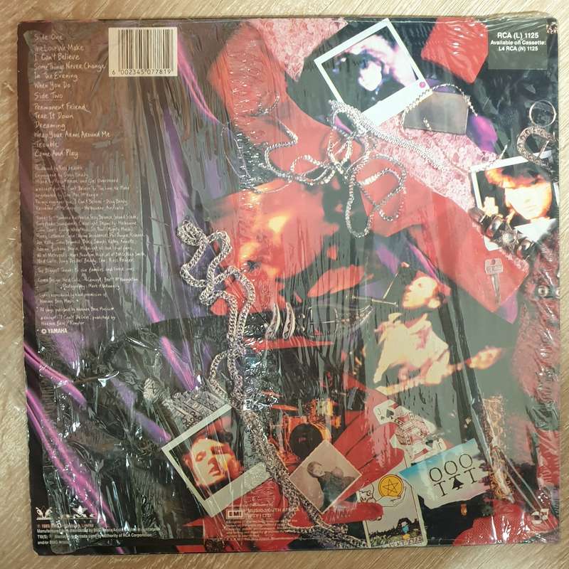 Girl Overboard  Paint A Picture -  Vinyl LP Record (VG+)