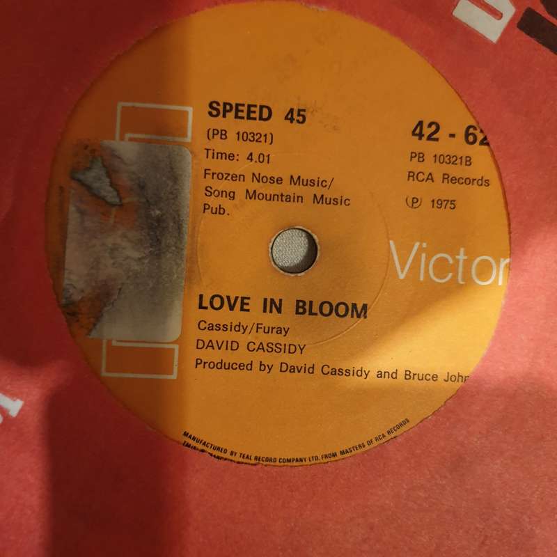 David Cassidy  Get It Up For Love - Vinyl 7" Record - Very-Good- Quality (VG-)