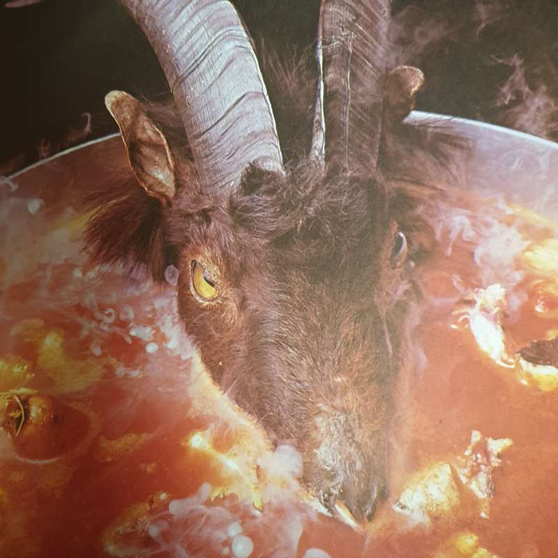 The Rolling Stones  Goats Head Soup (With Goats Head Poster) -  Vinyl LP Record (VG+)