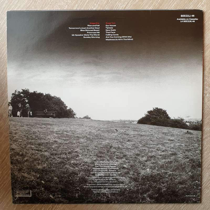 Madness  The Rise & Fall - Vinyl LP Record - Opened  - Very-Good+ Quality (VG+)