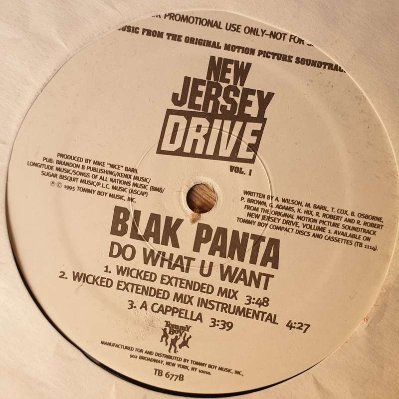 Blak Panta  Do What U Want  - Vinyl LP Record - Very-Good+ Quality (VG+)