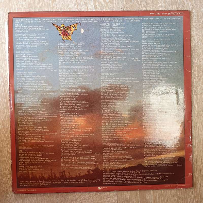 Lucy Kruger & The Lost Boys  Sleeping Tapes for Some Girls - Vinyl LP Record - Opened - Nea...