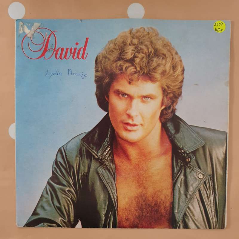 David Hasselhoff  I Get The Message - Vinyl 7" Record - Very-Good+ Quality (VG+)