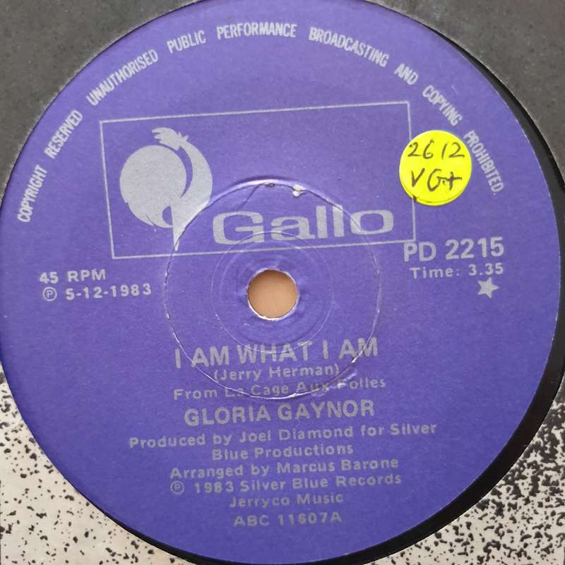 Gloria Gaynor  I Am What I Am - Vinyl 7" Record - Very-Good+ Quality (VG+)