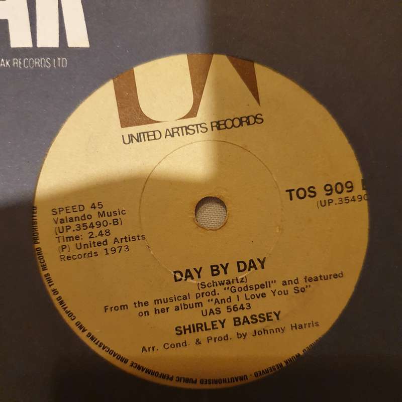 Shirley Bassey  Never, Never, Never - Vinyl 7" Record - Very-Good+ Quality (VG+)