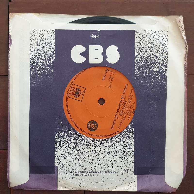 Clint Holmes  Playground In My Mind - Vinyl 7" Record - Very-Good+ Quality (VG+)
