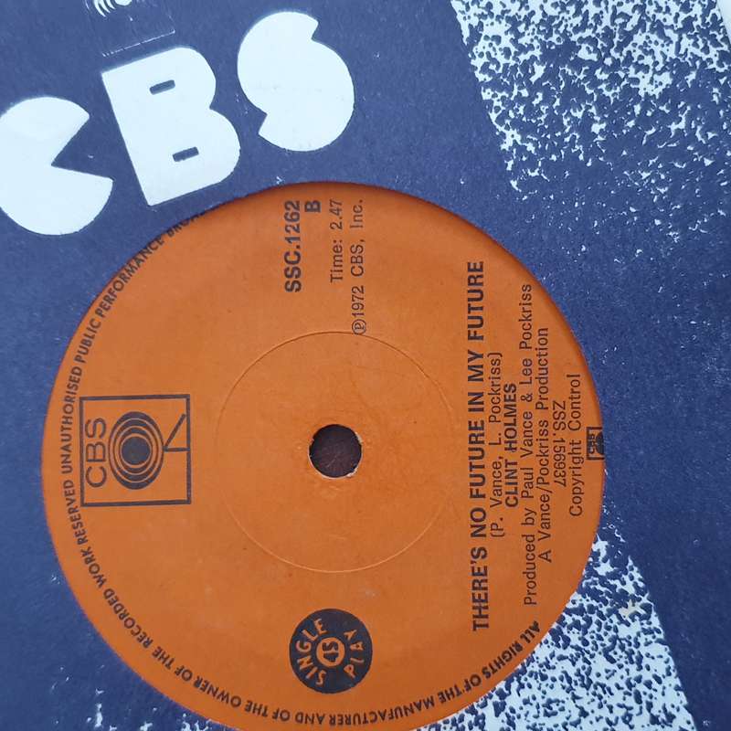 Clint Holmes  Playground In My Mind - Vinyl 7" Record - Very-Good+ Quality (VG+)