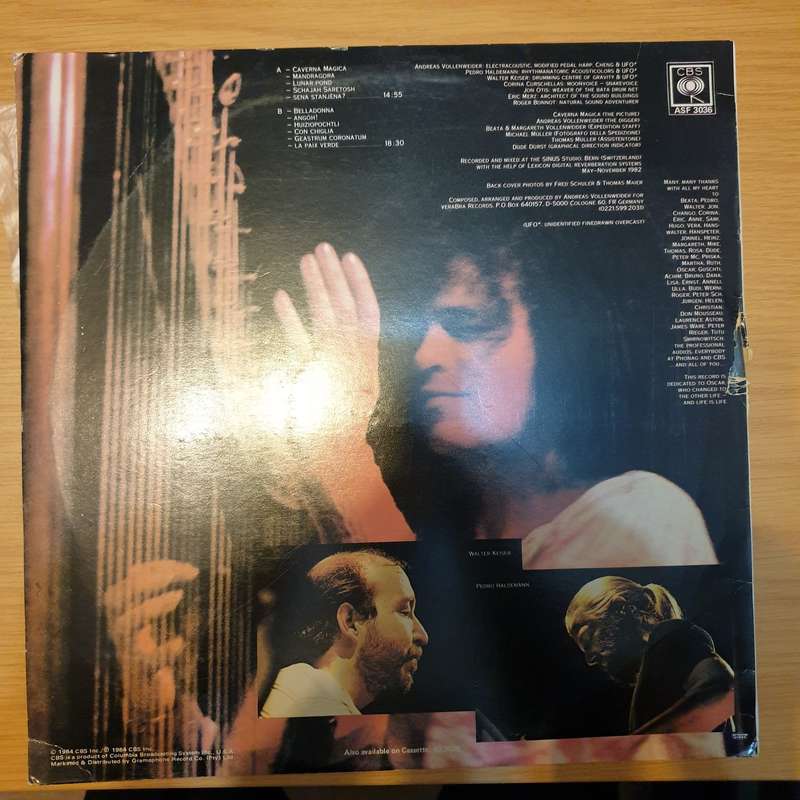 Andreas Vollenweider  Caverna Magica - (...Under The Tree - In The Cave...) - Vinyl LP Reco...