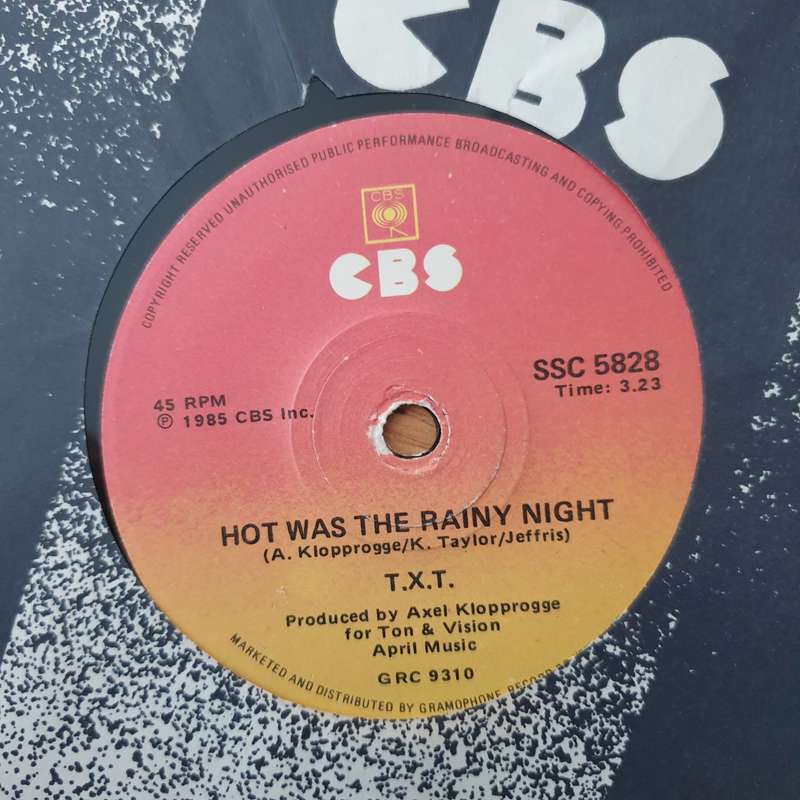 T.X.T.  Girl's Got A Brand New Toy - Vinyl 7" Record - Very-Good+ Quality (VG+) (verygoodplus)
