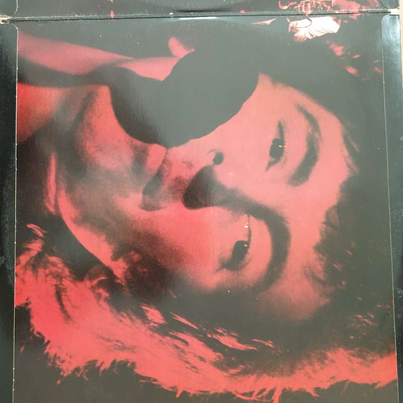 Al Stewart  Live Indian Summer - Double Vinyl LP Record - Very-Good+ Quality (VG+) (verygoodplus)