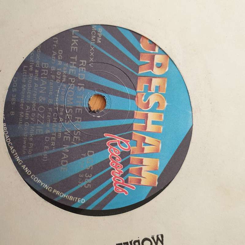 Brian & Ozzie  Red Is The Rose / Like The Promises We Made - Vinyl 7" Record - Very-Good+ Qual...