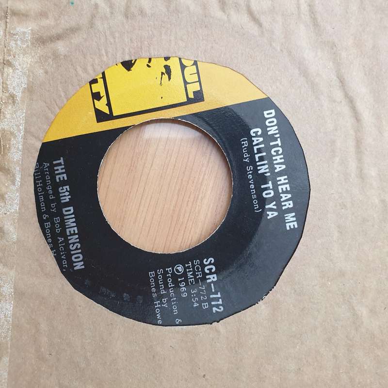 The 5th Dimension  Medley: Aquarius/Let The Sunshine In (The Flesh Failures) -  Vinyl 7" Recor...